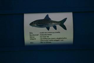 40. [30/08/60] นักศึกษาโปรแกรมวิชาการประถมศึกษา ชั้นปีที่ 4 รหัส 57 ศึกษาดูงานแหล่งเรียนรู้ทางวัฒนธรรม จังหวัดพิษณุโลก